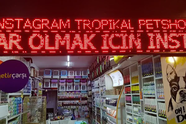 Tropikal Pet Shop ALO MAMA HATTI.