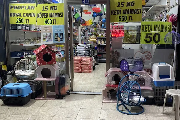 Pofudik Petshop