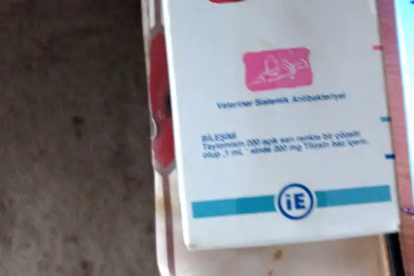 Vetmar Veteriner Kliniği