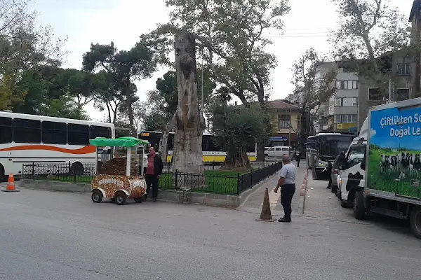 Gemlik Meydanı