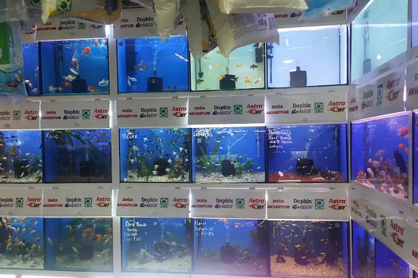 Ömer Akvaryum &amp; Petshop