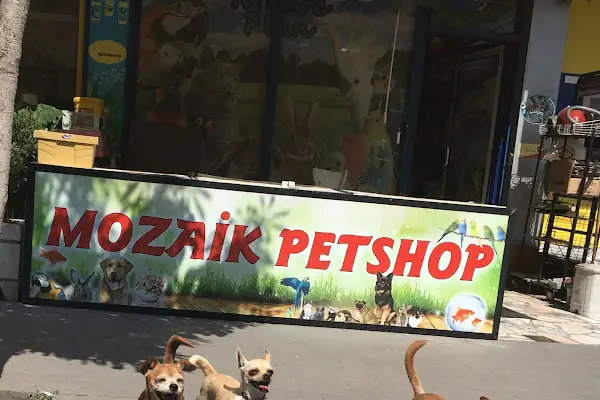 Mozaik Petshop