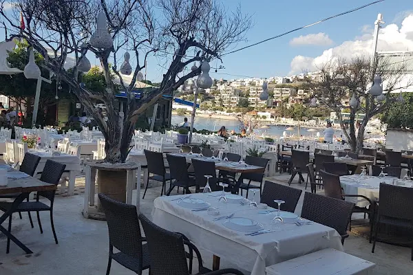 Hollywood Lounge & Cafe