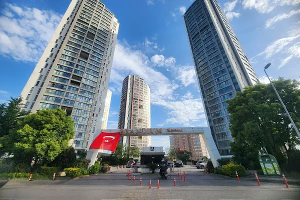 Dolunay Filo Kiralama