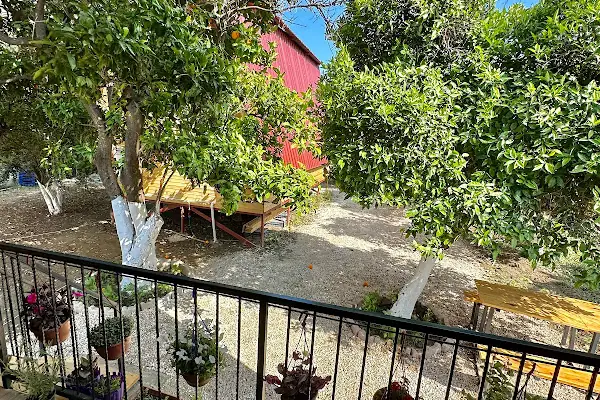 Orange Garden Bungalow