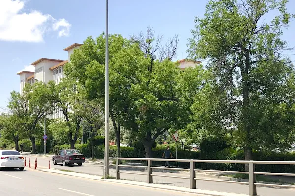 Akköprü