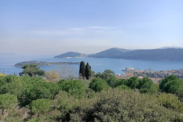 Burgazada Mezarlığı
