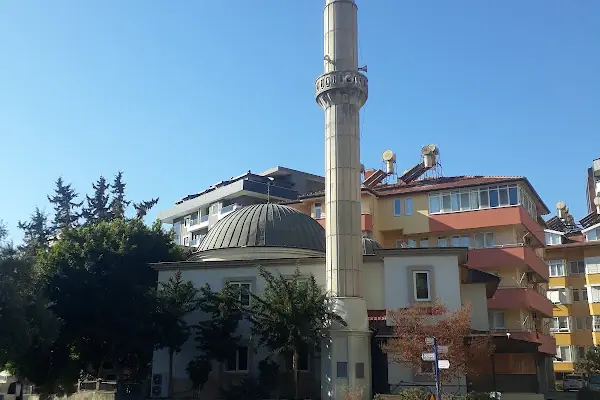 Belen Cami