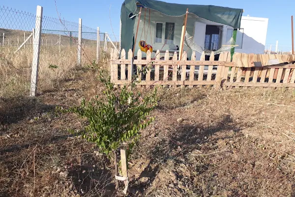 Özyeşil Hobi Bahçeleri