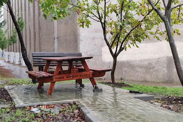 İstanbul üniversitesi dil merkezi