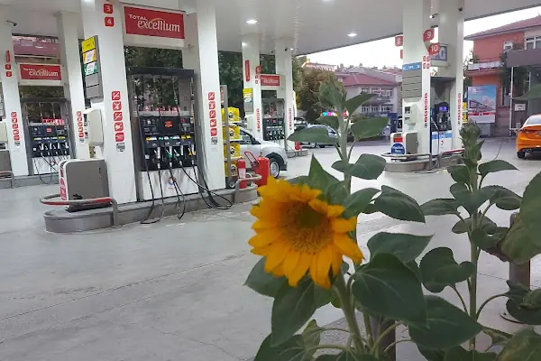 Total-Gülen Akaryakıt