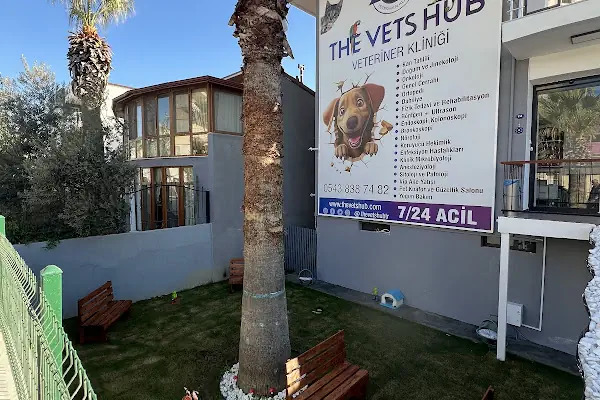 The Vets Hub Veteriner Kliniği