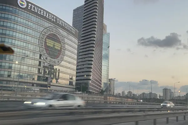 Fenerbahçe Üniversitesi