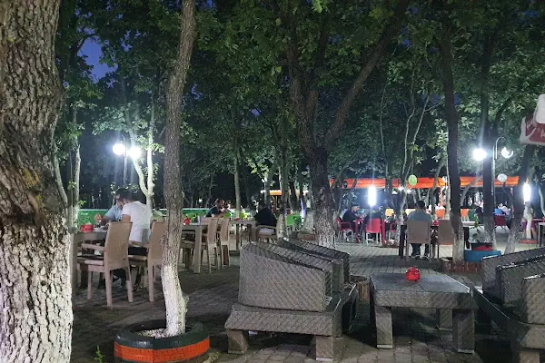 Tepe Piknik Alanı