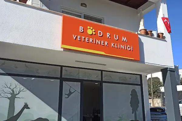 Bodrum Veteriner Kliniği