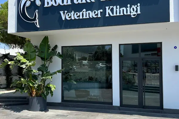 Bodrum Holistik Veteriner Kliniği
