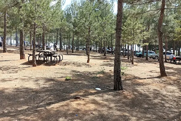 Yamaçtepe Tabiat Parkı