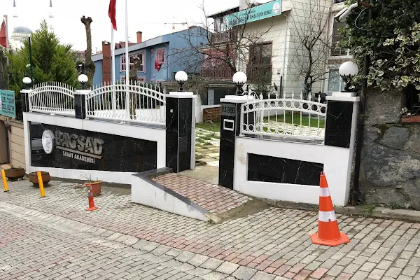"BAGSAD" BAŞAKŞEHİR SANAT AKADEMİSİ / Müzik Aletleri