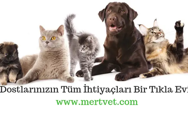 CEYHAN MERT VETERİNER KLİNİĞİ