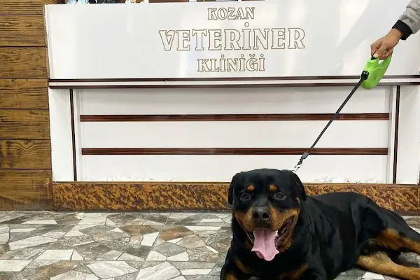 KOZAN VETERİNER KLİNİĞİ