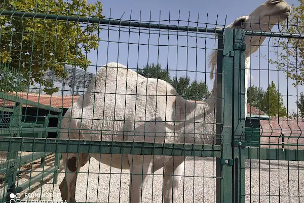 Karatay Belediyesi Hayvanat Bahçesi