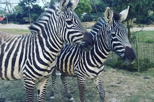 Polonezköy Zoo Park