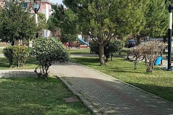 BASIN PARKI