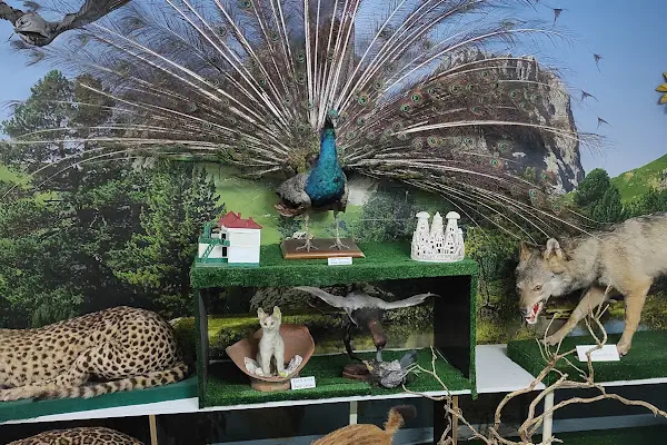 Doğa Bilim Müzesi