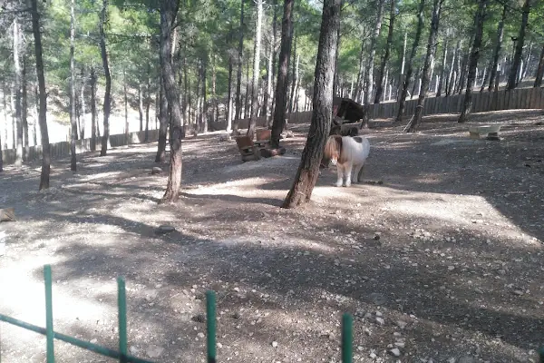 Dulkadiroglu Hayvanat Bahçesi