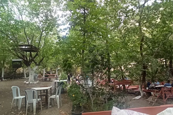 Dere Alabalık