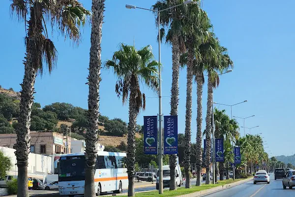 Çocuk Bahçesi