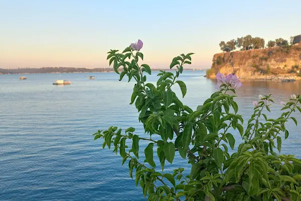 Güney Marina