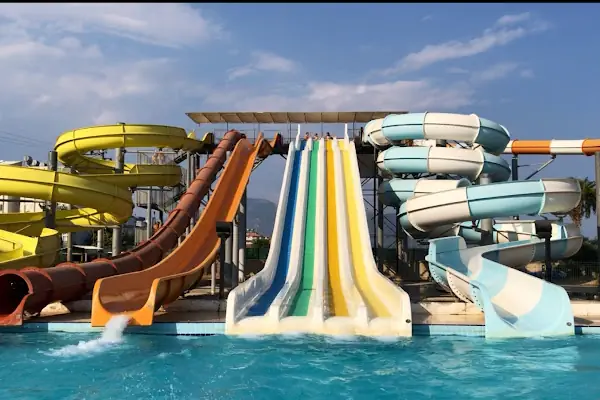 Aqua Anamurium