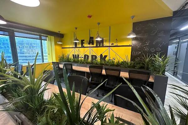 Ofis Network Coworking Hizmetleri