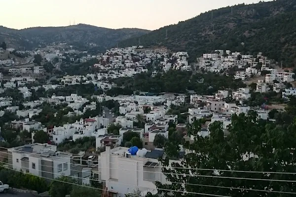 Yaşam Evleri