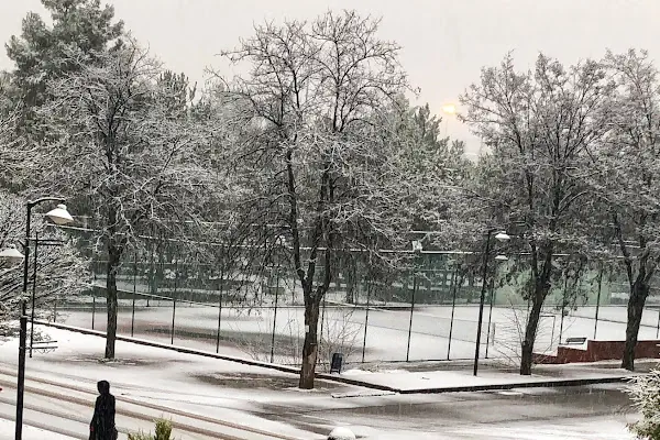 Tenis Sahası