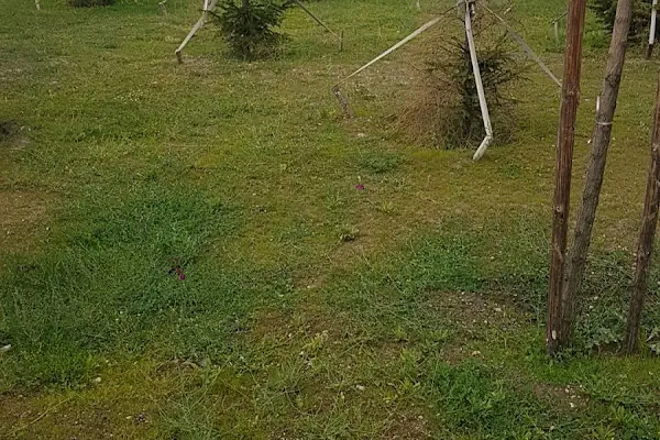 Ziraat Parkı