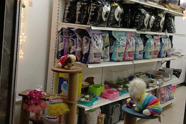 Angel Pet Shop ve Pet Kuaför