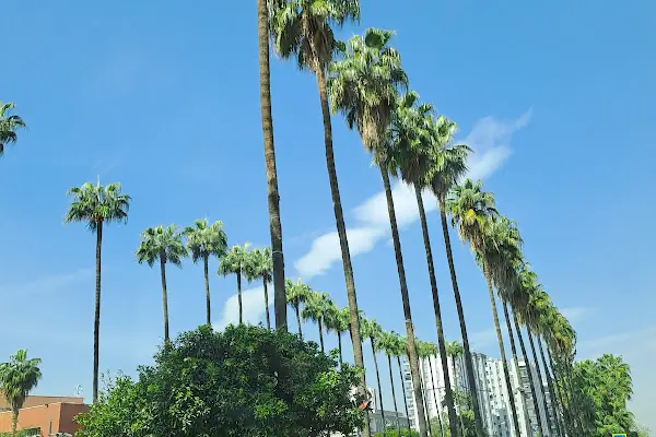 Adana Valiliği
