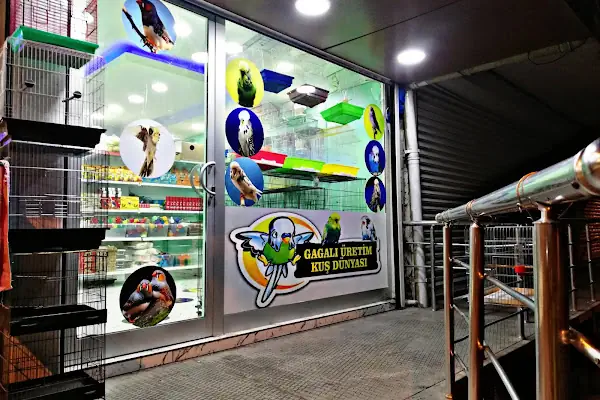 Gagalı Petshop