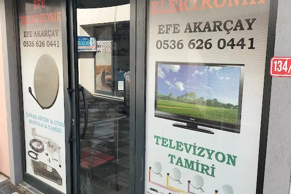 efe elektronık