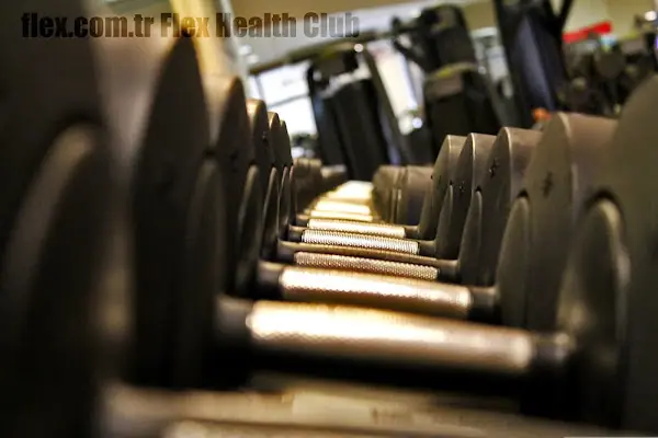 Flex Health Club