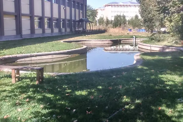 Ankara Üniversitesi Ziraat Fakültesi Bitki Koruma Bölümü