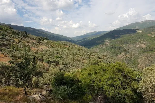 Bayındır