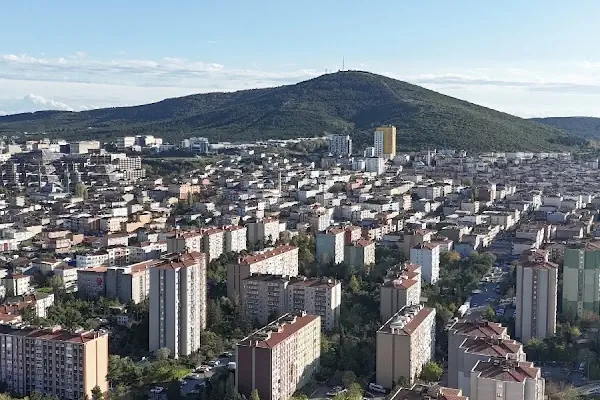 acarlar