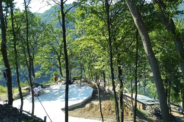 Sarmaşık Piknik Alanı