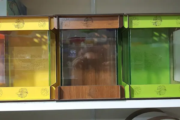GEMLİK PET DÜNYASI