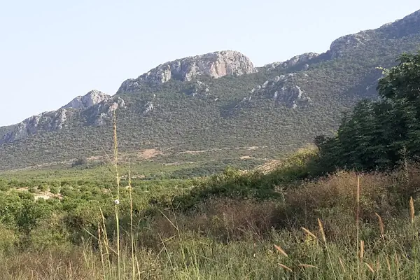 Cabbar Dede Türbesi