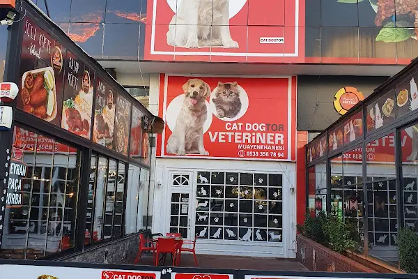 Veteriner Cat Dogtor