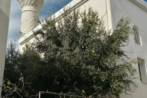 Umurca Cami